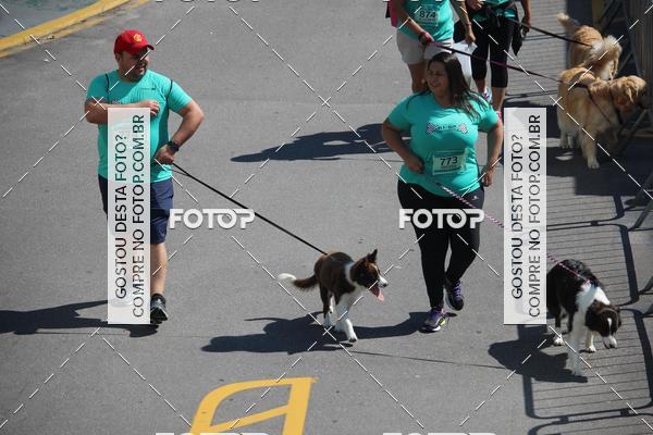 Buy your photos of the event2 Pet Run Shopping Eldorado  on Fotop