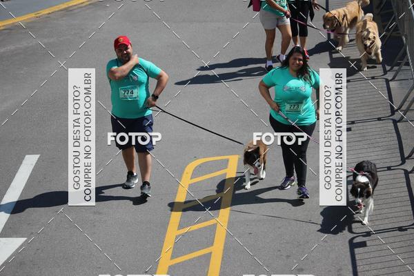 Buy your photos of the event2 Pet Run Shopping Eldorado  on Fotop