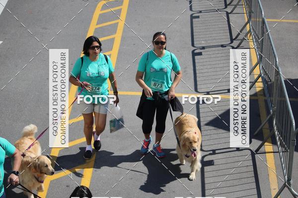 Buy your photos of the event2 Pet Run Shopping Eldorado  on Fotop