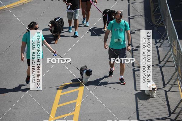 Buy your photos of the event2 Pet Run Shopping Eldorado  on Fotop