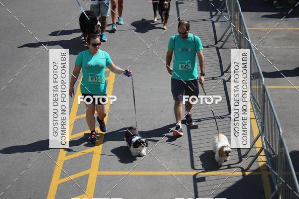 Buy your photos of the event2 Pet Run Shopping Eldorado  on Fotop