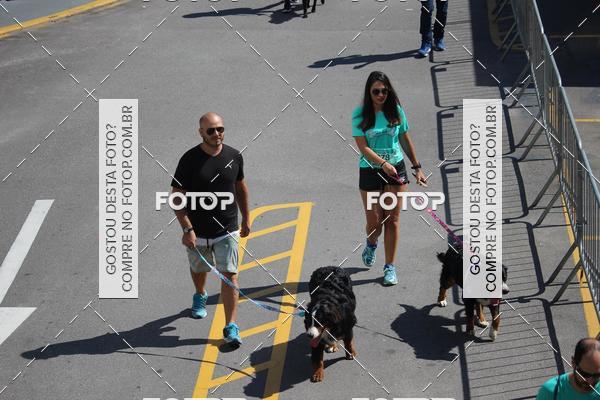 Buy your photos of the event2 Pet Run Shopping Eldorado  on Fotop