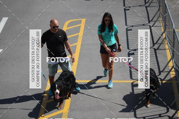 Buy your photos of the event2 Pet Run Shopping Eldorado  on Fotop