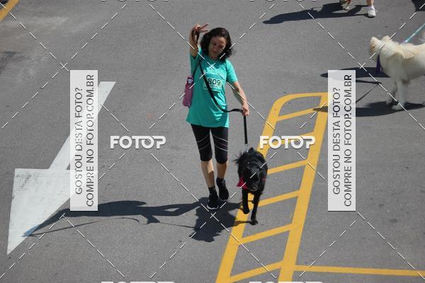 Buy your photos of the event2 Pet Run Shopping Eldorado  on Fotop