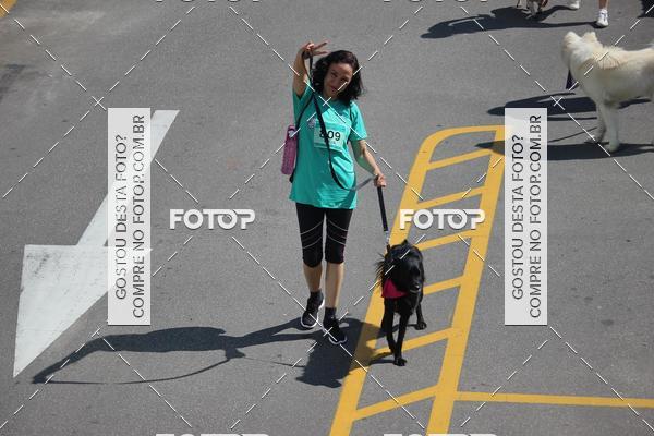 Buy your photos of the event2 Pet Run Shopping Eldorado  on Fotop