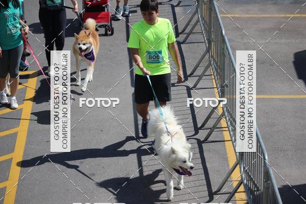 Buy your photos of the event2 Pet Run Shopping Eldorado  on Fotop
