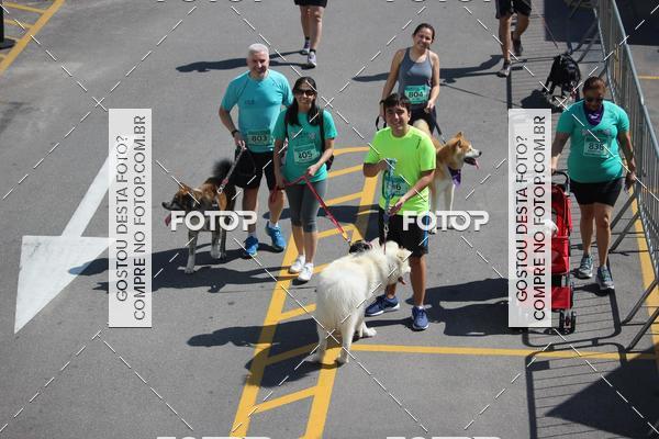 Buy your photos of the event2 Pet Run Shopping Eldorado  on Fotop