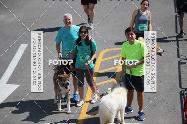 Buy your photos of the event2 Pet Run Shopping Eldorado  on Fotop