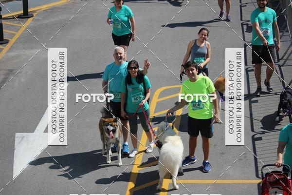 Buy your photos of the event2 Pet Run Shopping Eldorado  on Fotop