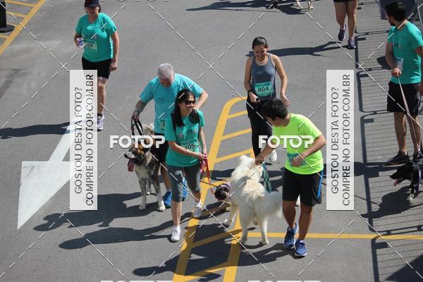 Buy your photos of the event2 Pet Run Shopping Eldorado  on Fotop
