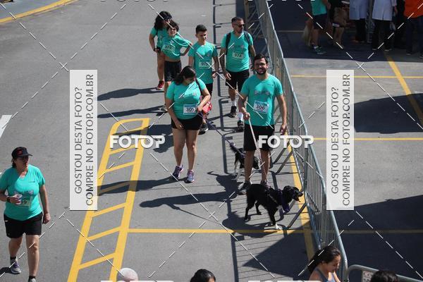 Buy your photos of the event2 Pet Run Shopping Eldorado  on Fotop
