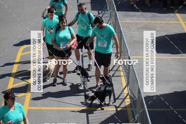 Buy your photos of the event2 Pet Run Shopping Eldorado  on Fotop