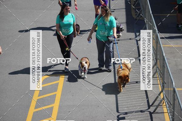 Buy your photos of the event2 Pet Run Shopping Eldorado  on Fotop