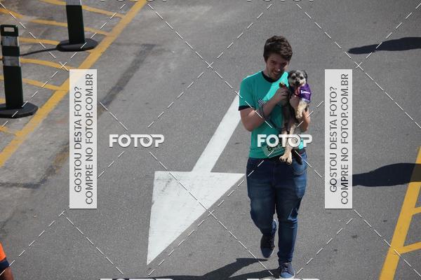 Buy your photos of the event2 Pet Run Shopping Eldorado  on Fotop