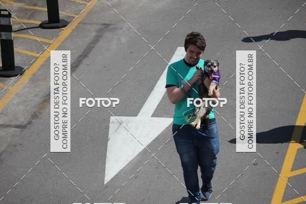 Buy your photos of the event2 Pet Run Shopping Eldorado  on Fotop
