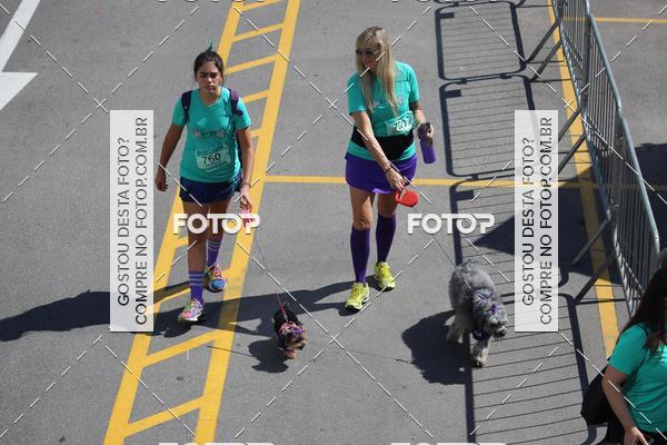 Buy your photos of the event2 Pet Run Shopping Eldorado  on Fotop