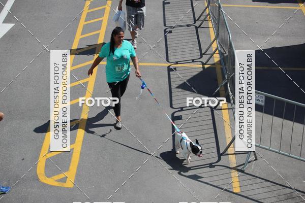 Buy your photos of the event2 Pet Run Shopping Eldorado  on Fotop