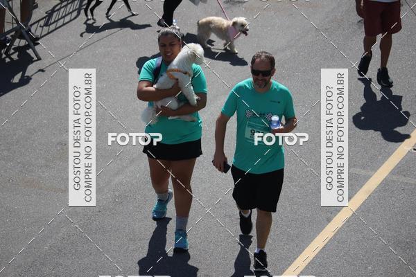 Buy your photos of the event2 Pet Run Shopping Eldorado  on Fotop
