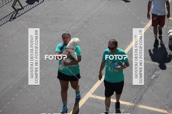 Buy your photos of the event2 Pet Run Shopping Eldorado  on Fotop