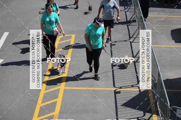 Buy your photos of the event2 Pet Run Shopping Eldorado  on Fotop