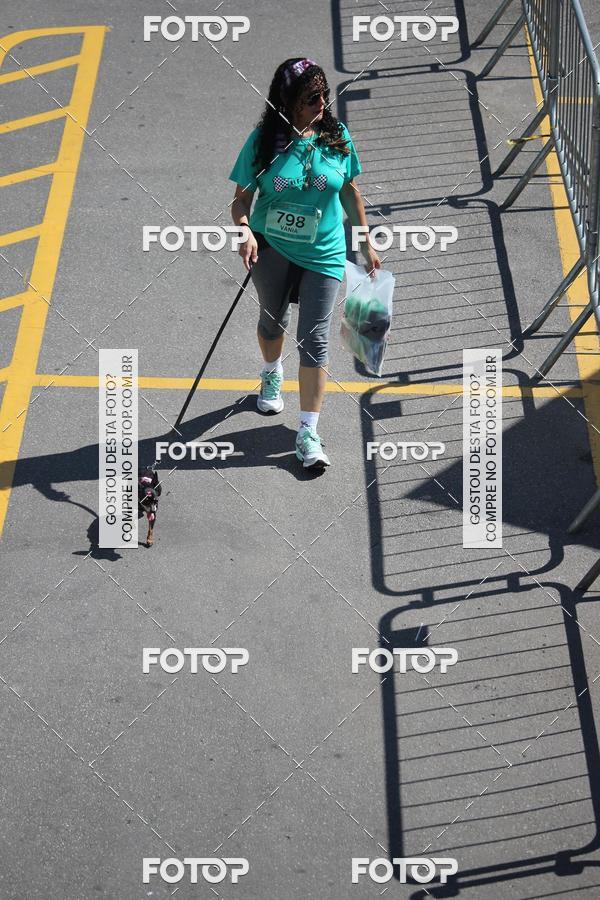 Buy your photos of the event2 Pet Run Shopping Eldorado  on Fotop