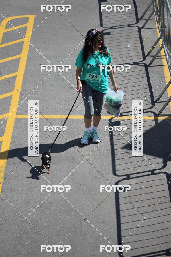 Buy your photos of the event2 Pet Run Shopping Eldorado  on Fotop