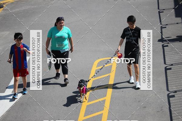 Buy your photos of the event2 Pet Run Shopping Eldorado  on Fotop
