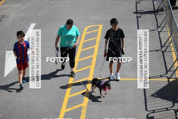 Buy your photos of the event2 Pet Run Shopping Eldorado  on Fotop