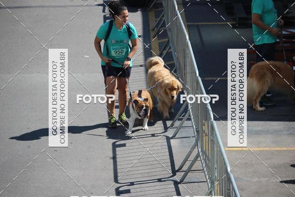 Buy your photos of the event2 Pet Run Shopping Eldorado  on Fotop