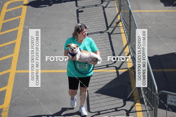 Buy your photos of the event2 Pet Run Shopping Eldorado  on Fotop