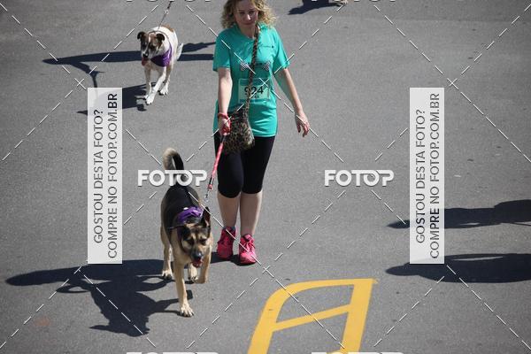 Buy your photos of the event2 Pet Run Shopping Eldorado  on Fotop