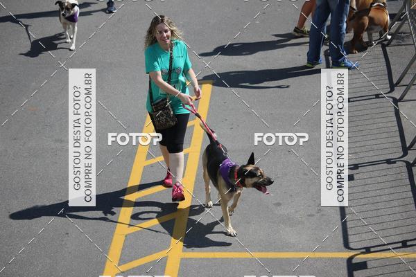 Buy your photos of the event2 Pet Run Shopping Eldorado  on Fotop