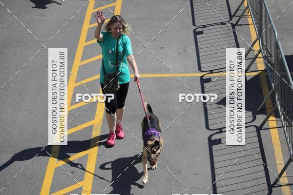 Buy your photos of the event2 Pet Run Shopping Eldorado  on Fotop
