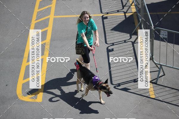 Buy your photos of the event2 Pet Run Shopping Eldorado  on Fotop