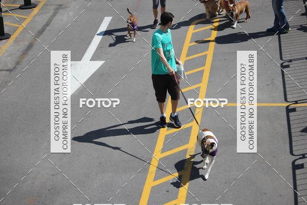 Buy your photos of the event2 Pet Run Shopping Eldorado  on Fotop