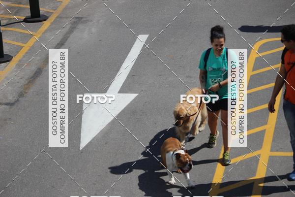 Buy your photos of the event2 Pet Run Shopping Eldorado  on Fotop