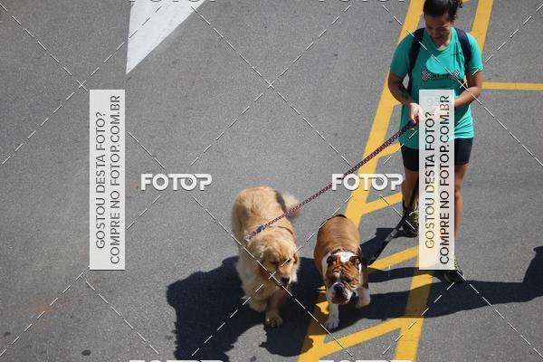 Buy your photos of the event2 Pet Run Shopping Eldorado  on Fotop