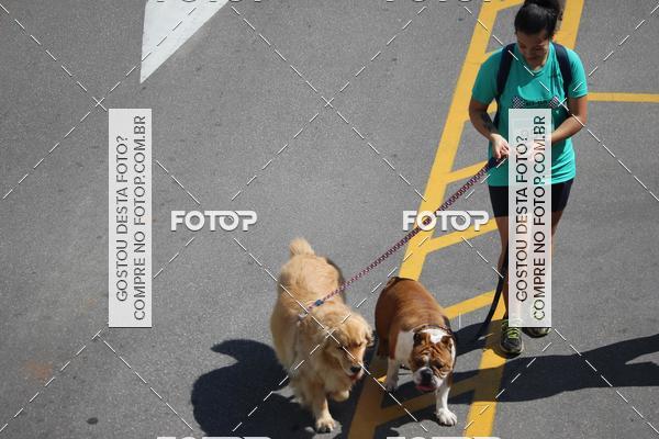 Buy your photos of the event2 Pet Run Shopping Eldorado  on Fotop