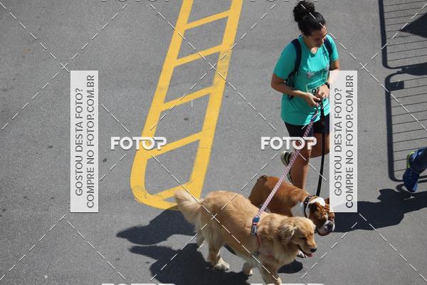 Buy your photos of the event2 Pet Run Shopping Eldorado  on Fotop