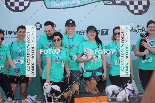 Buy your photos of the event2 Pet Run Shopping Eldorado  on Fotop