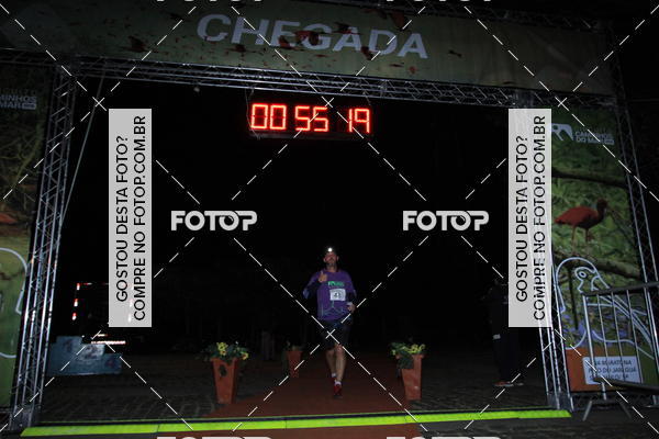 Buy your photos of the eventMeia Maratona Pico do Jaragu - Circuito Caminhos do Mar on Fotop