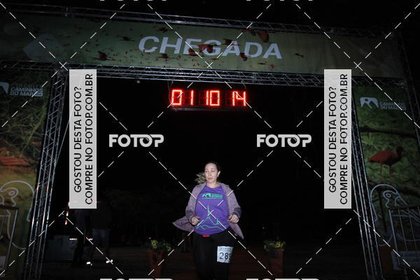 Buy your photos of the eventMeia Maratona Pico do Jaragu - Circuito Caminhos do Mar on Fotop