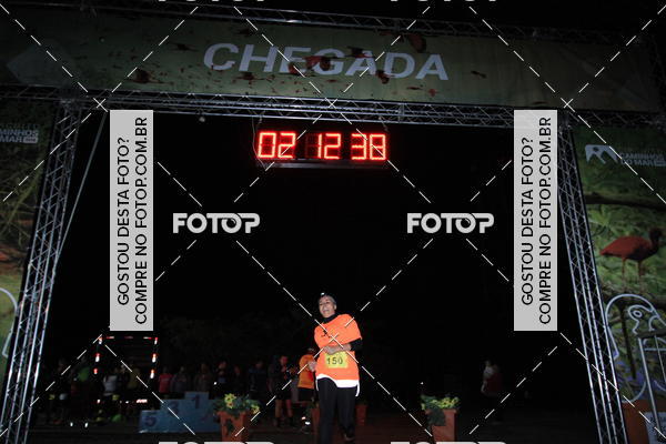 Buy your photos of the eventMeia Maratona Pico do Jaragu - Circuito Caminhos do Mar on Fotop