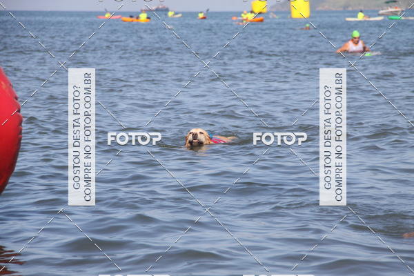 Buy your photos of the eventALOHA Spirit - 24/03/2018  on Fotop