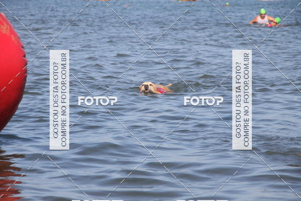 Buy your photos of the eventALOHA Spirit - 24/03/2018  on Fotop