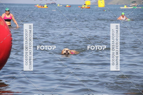 Buy your photos of the eventALOHA Spirit - 24/03/2018  on Fotop