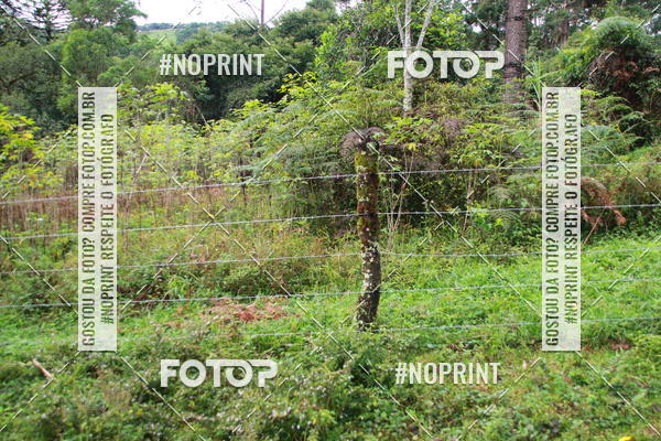 Buy your photos of the eventEvolution Challenge Yourself on Fotop