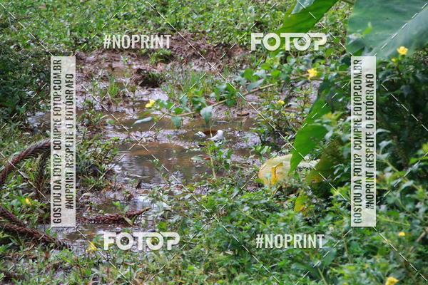 Buy your photos of the eventEvolution Challenge Yourself on Fotop