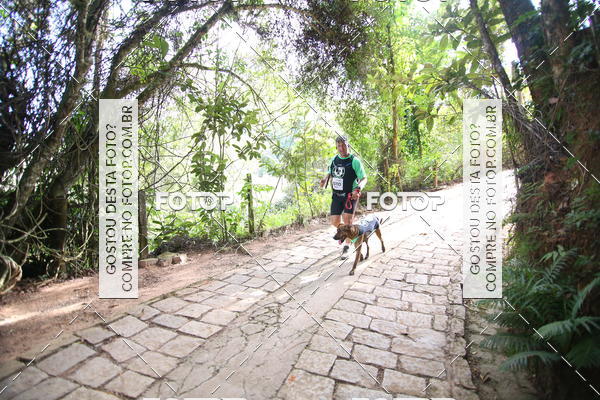 Buy your photos of the eventCORRIDA DOS EUCALIPTOS 2018 on Fotop