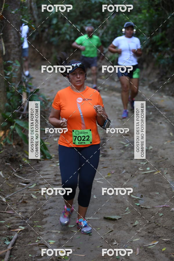 Buy your photos of the eventCORRIDA DOS EUCALIPTOS 2018 on Fotop
